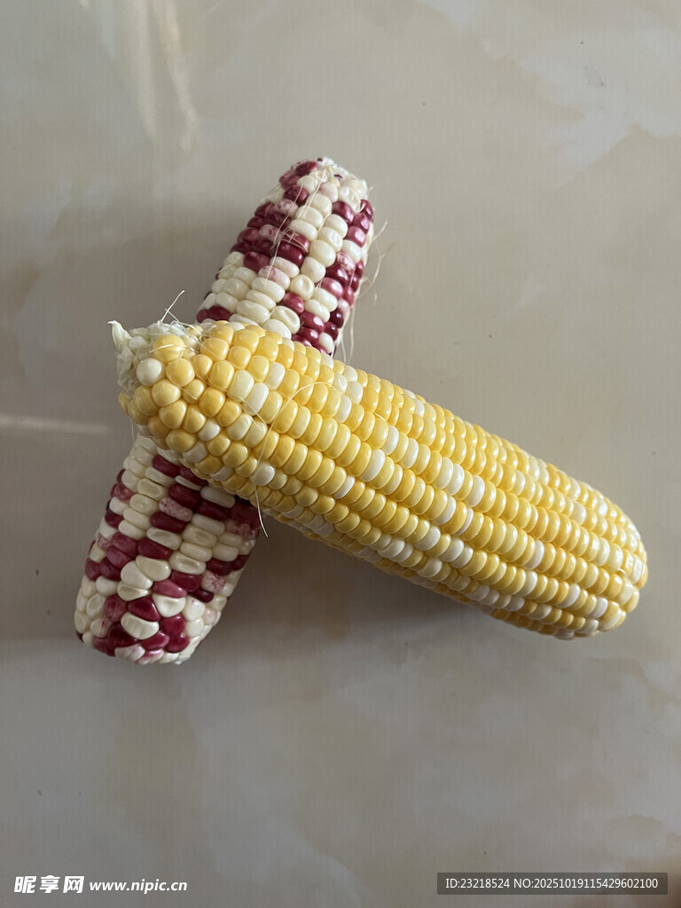 玉米