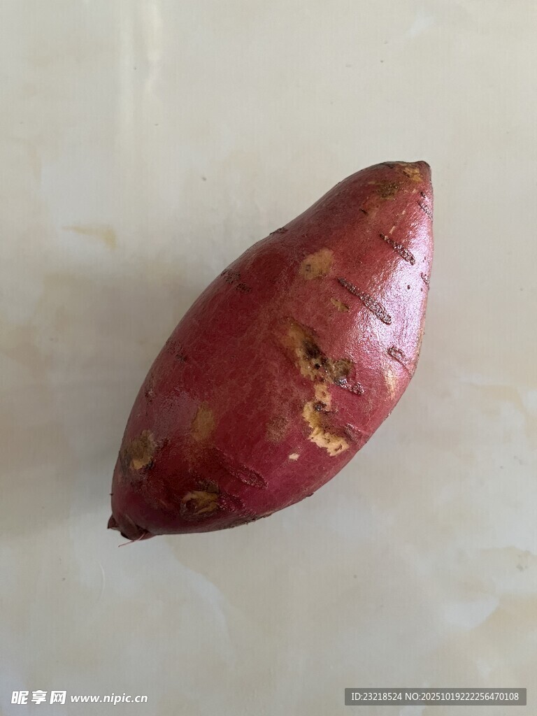 红薯特写