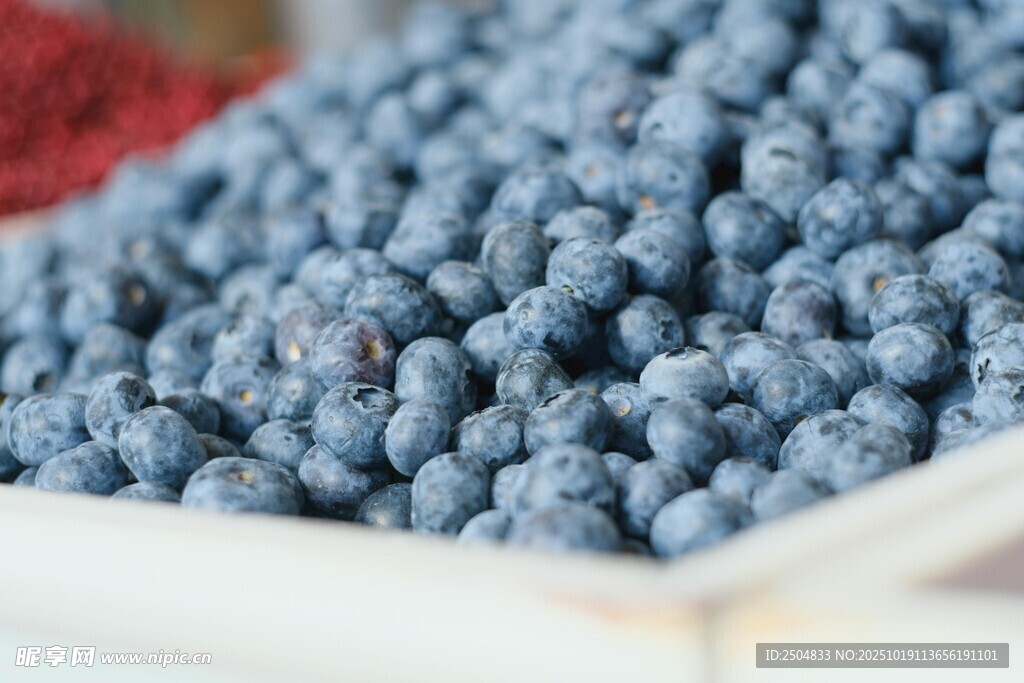 新鲜饱满的蓝莓