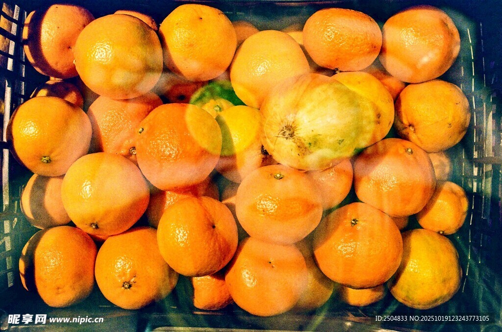 新鲜饱满的柑橘果实