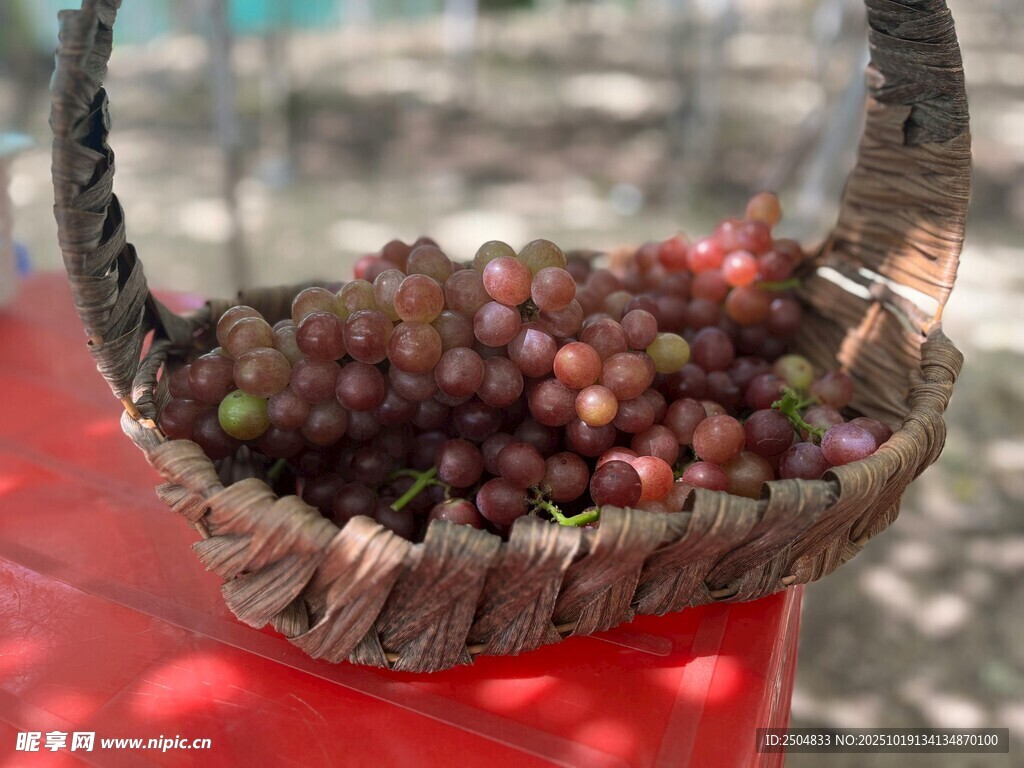 竹篮中的多彩新鲜葡萄