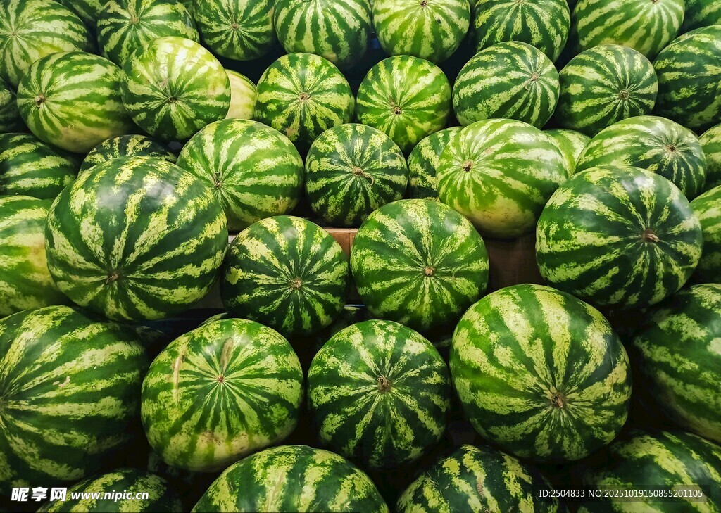 大量新鲜西瓜整齐堆放