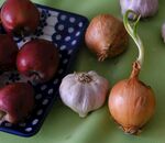 多彩洋葱与大蒜静物图