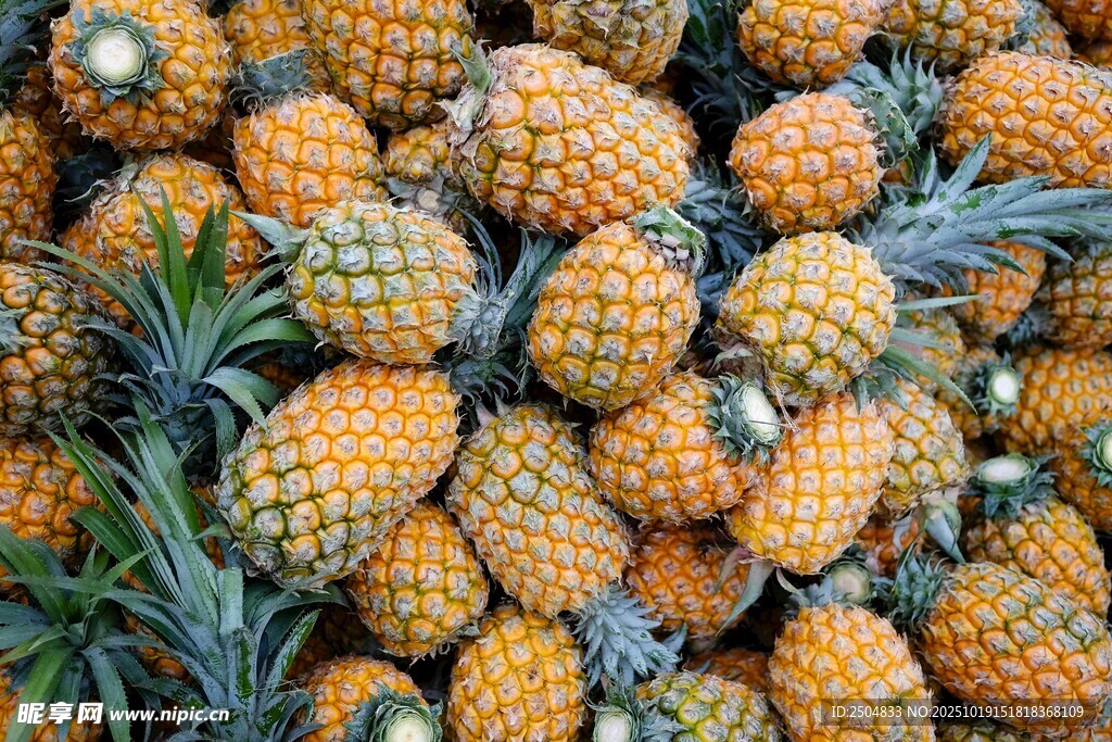 一堆新鲜诱人的菠萝