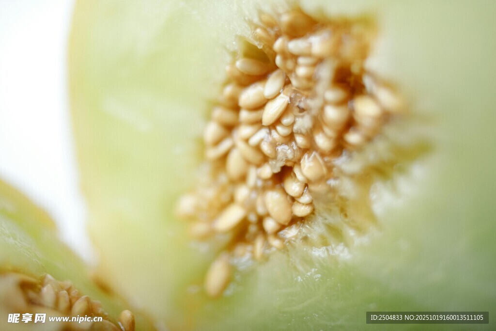 甜瓜内部籽实特写