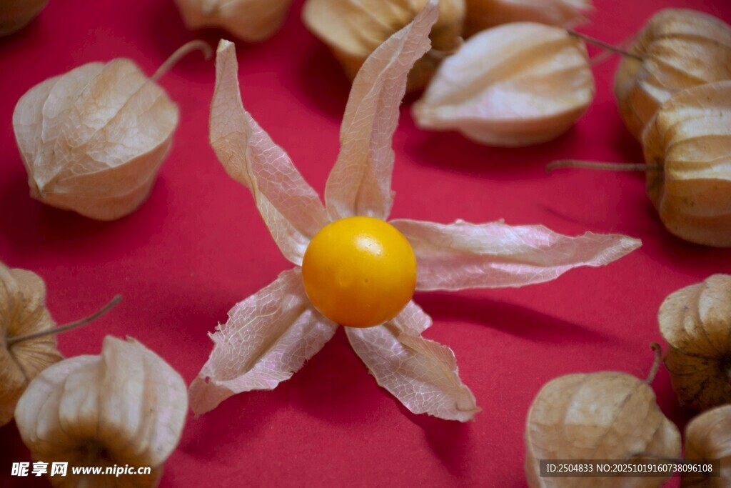 红底灯笼果特写