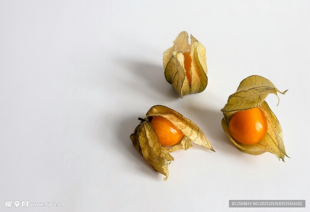 灯笼果特写