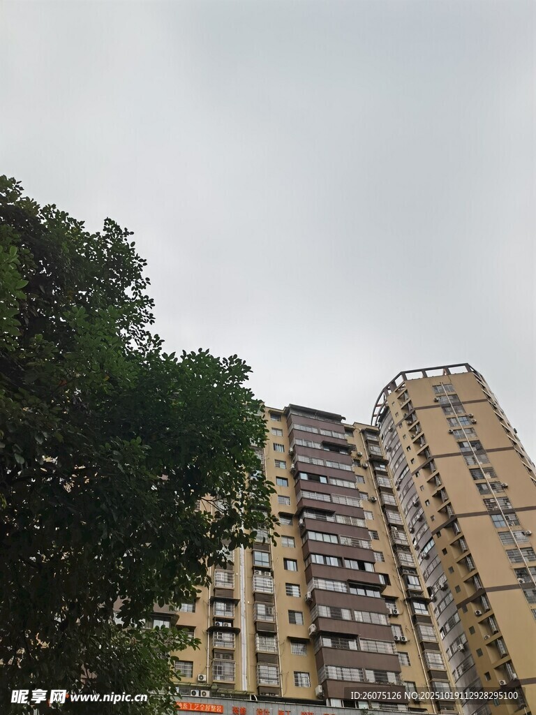 高层住宅楼与绿树景观
