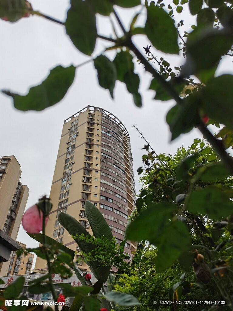 透过绿植望高层住宅