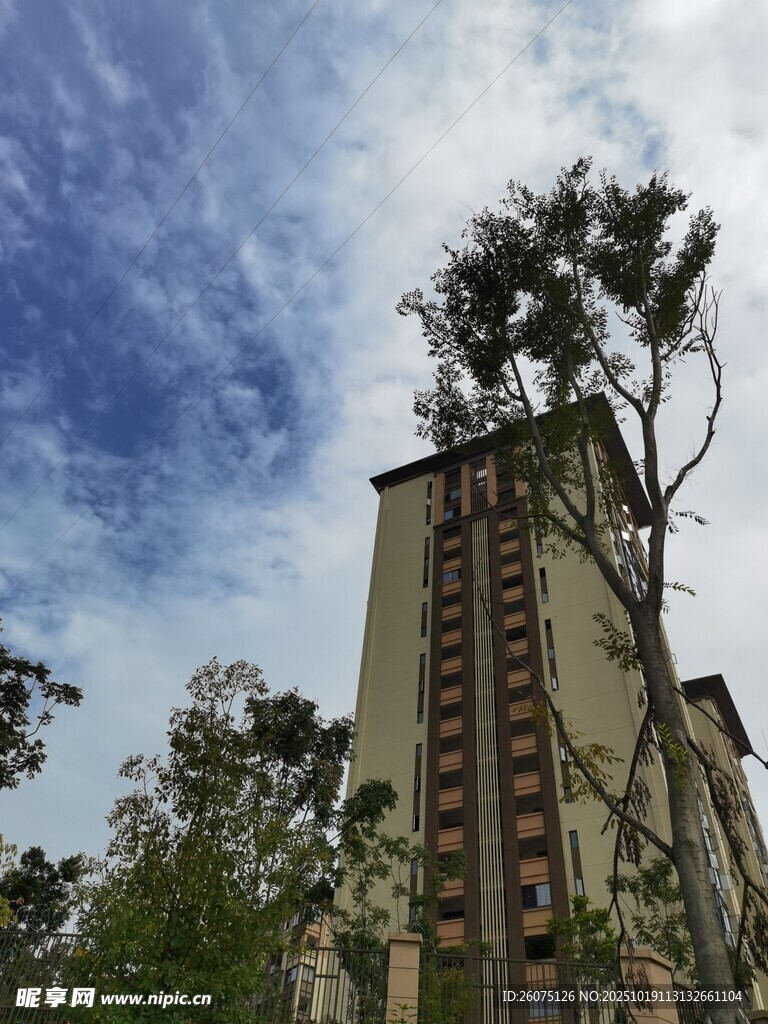 高楼耸立于绿树蓝天间