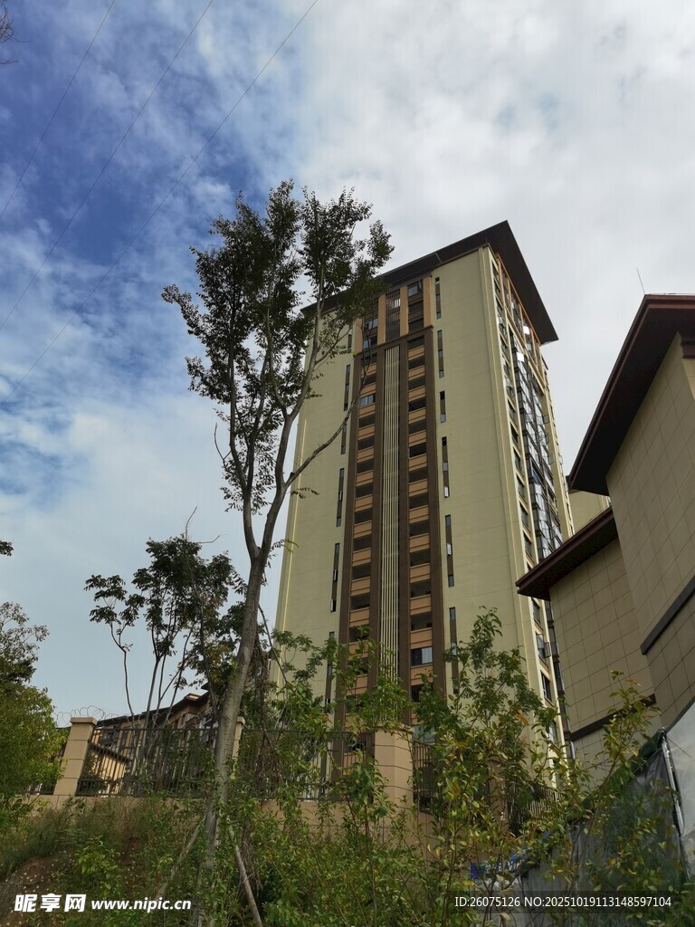 高层住宅旁的绿树蓝天