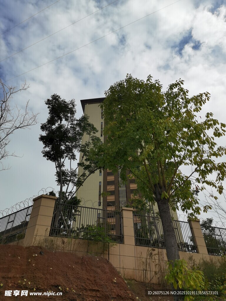 山坡上的现代建筑与绿树