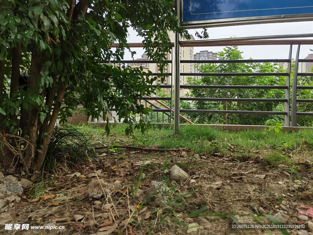 户外绿植旁的金属围栏场景