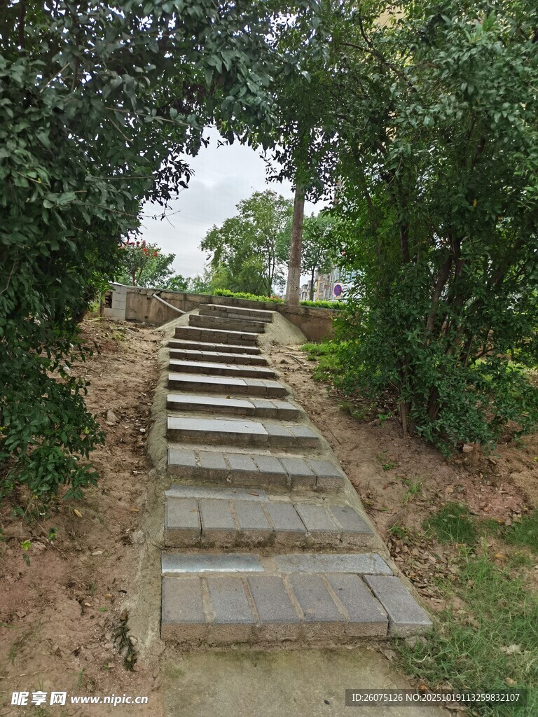 林间石阶小道