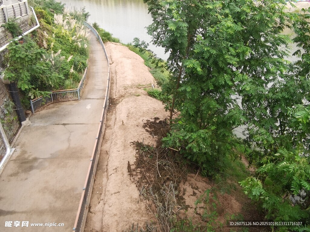 河边步道旁的绿植景观