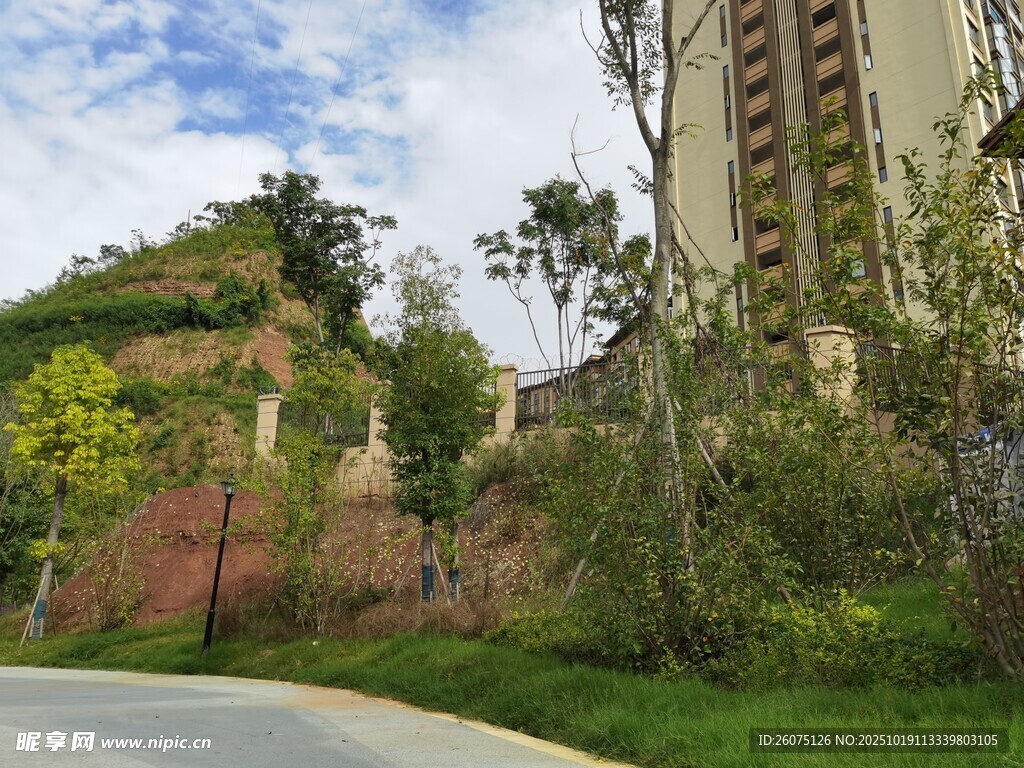城市路边的绿植与建筑景观