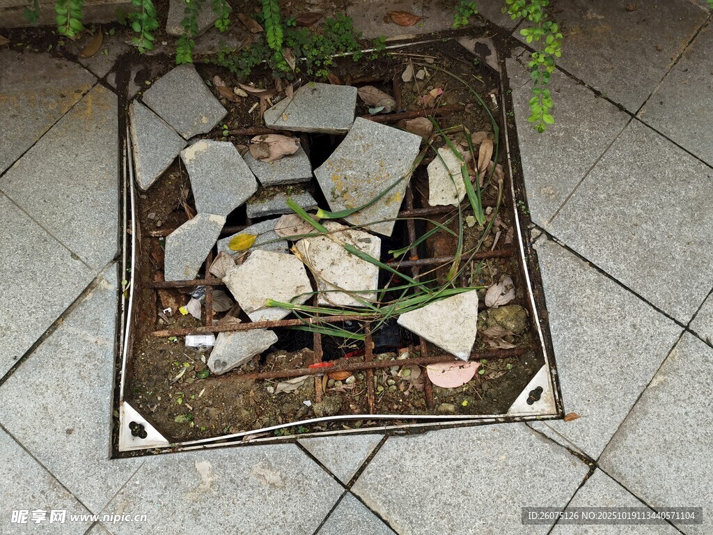 破碎瓷砖中的绿植景观