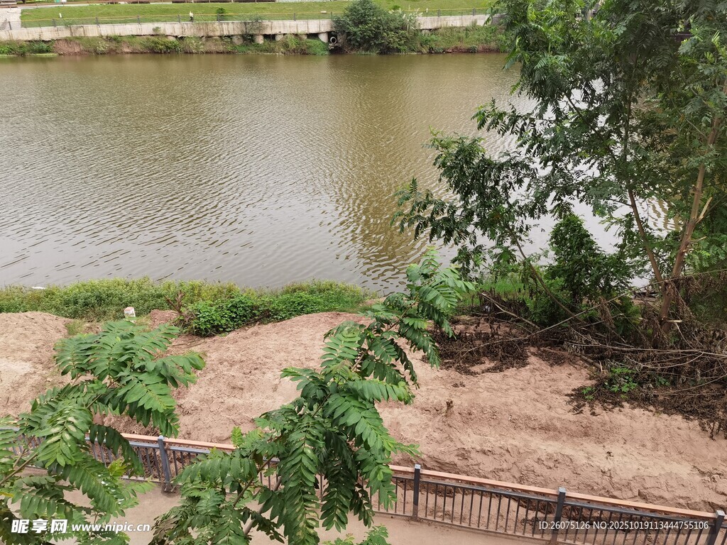 湖畔绿植环绕的宁静景致