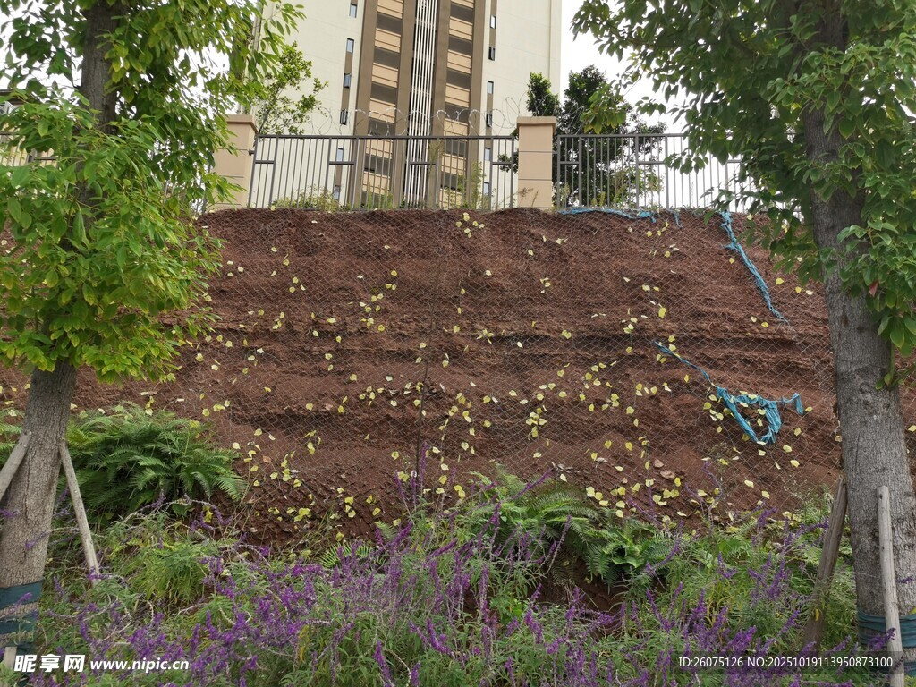 山坡上的绿植与建筑景观