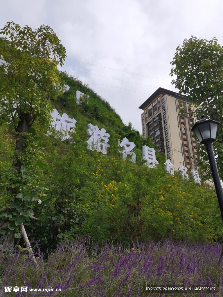 藤蔓缠绕的建筑与紫色花丛