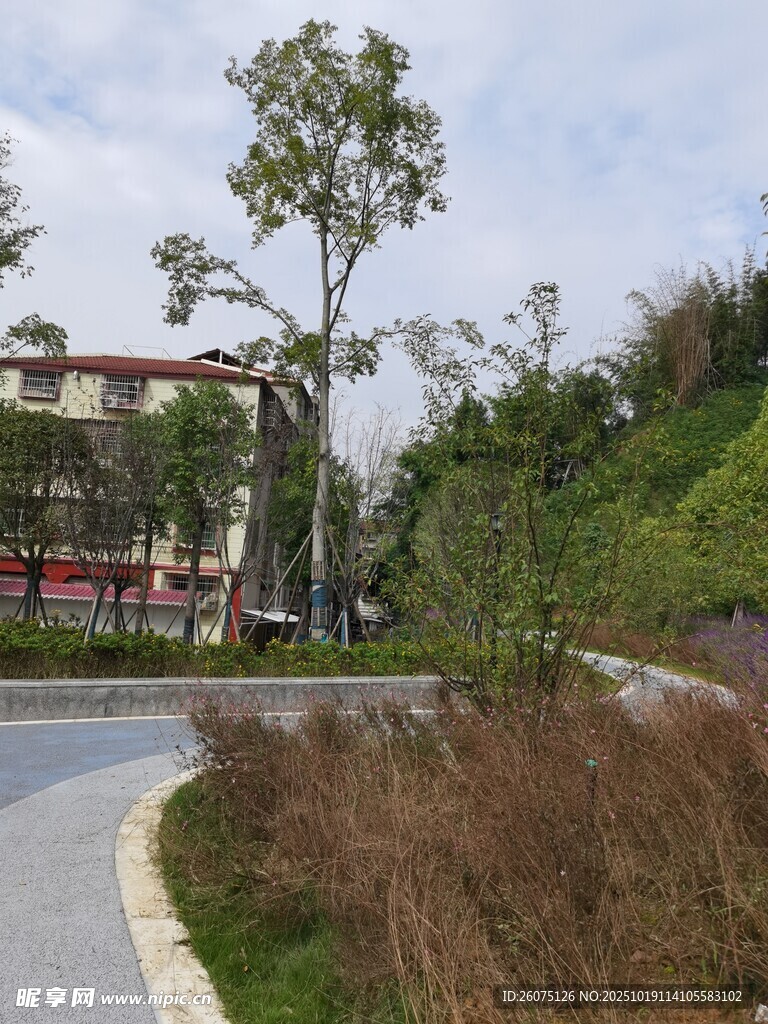 城市中的自然景观小径