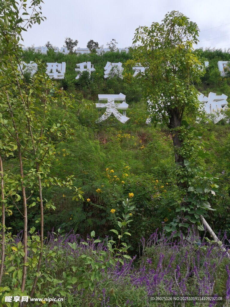 山坡上的白色大字景观