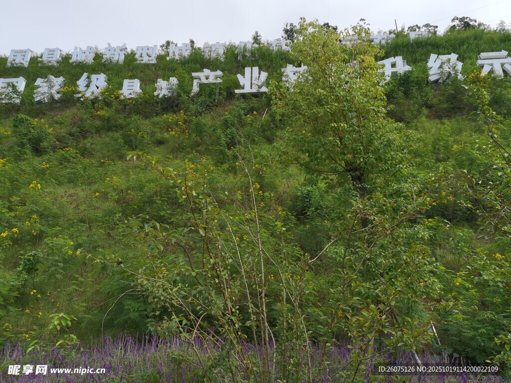 智慧农业产业中心景观