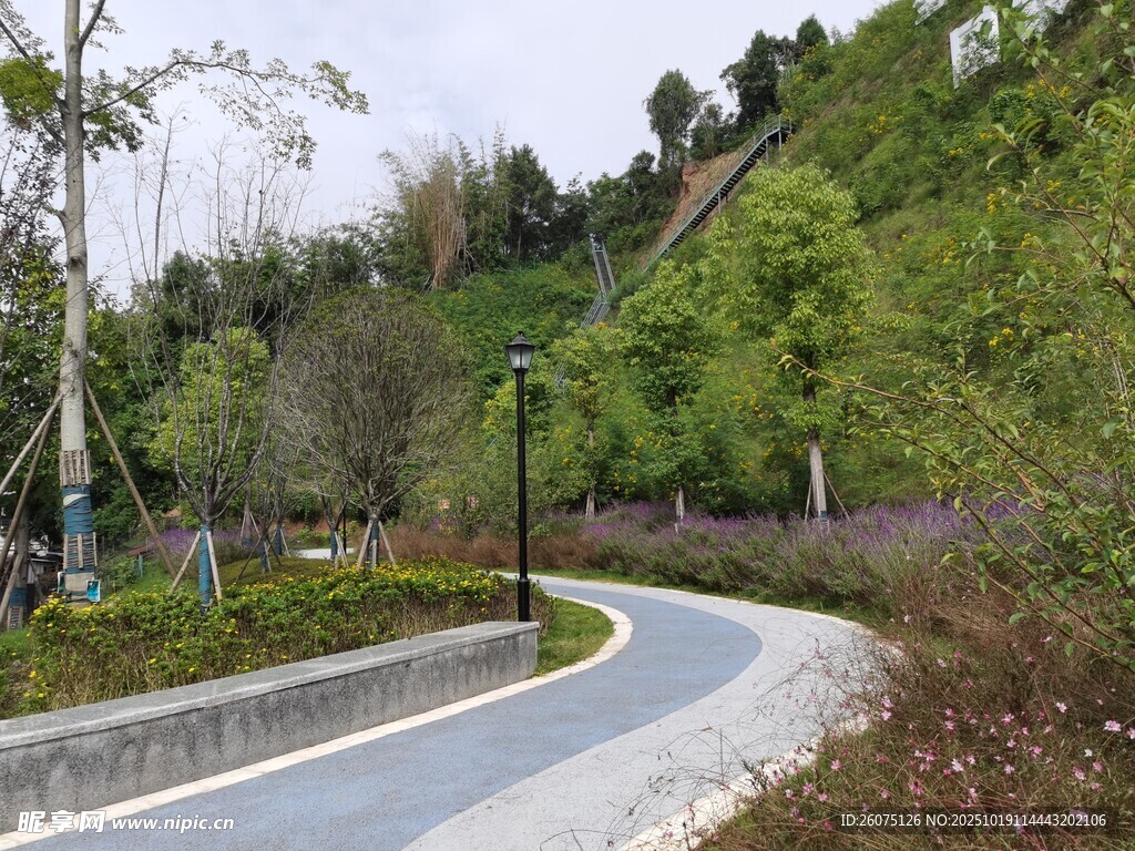 蜿蜒山间小路风景如画