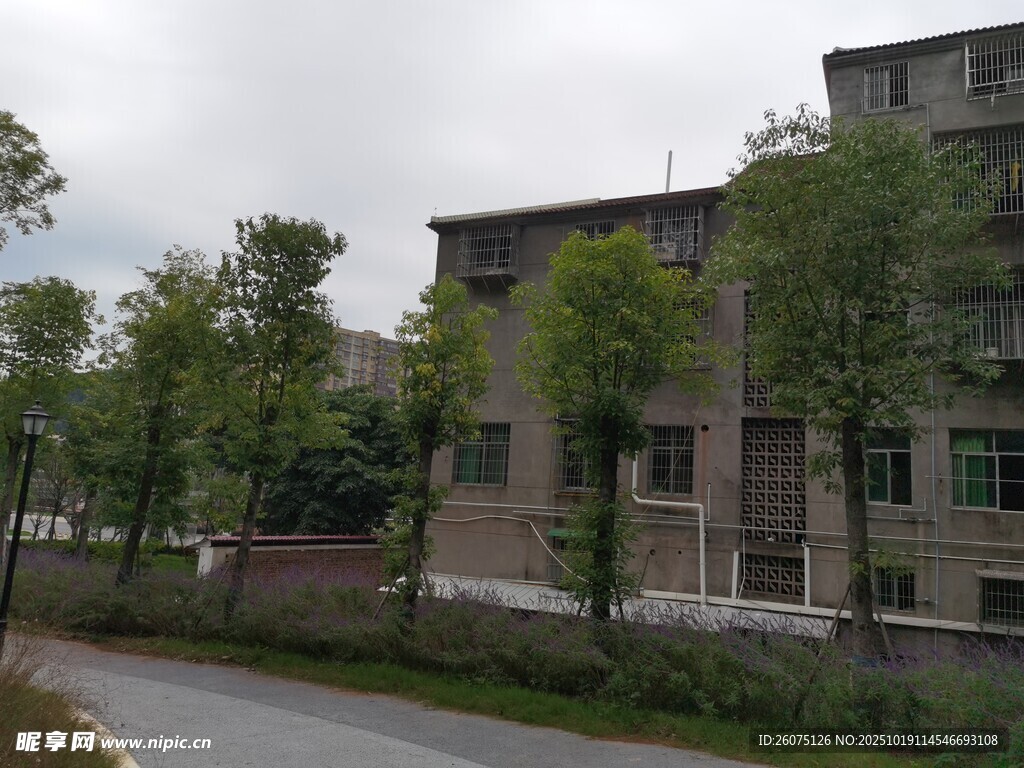乡村旁的多层建筑