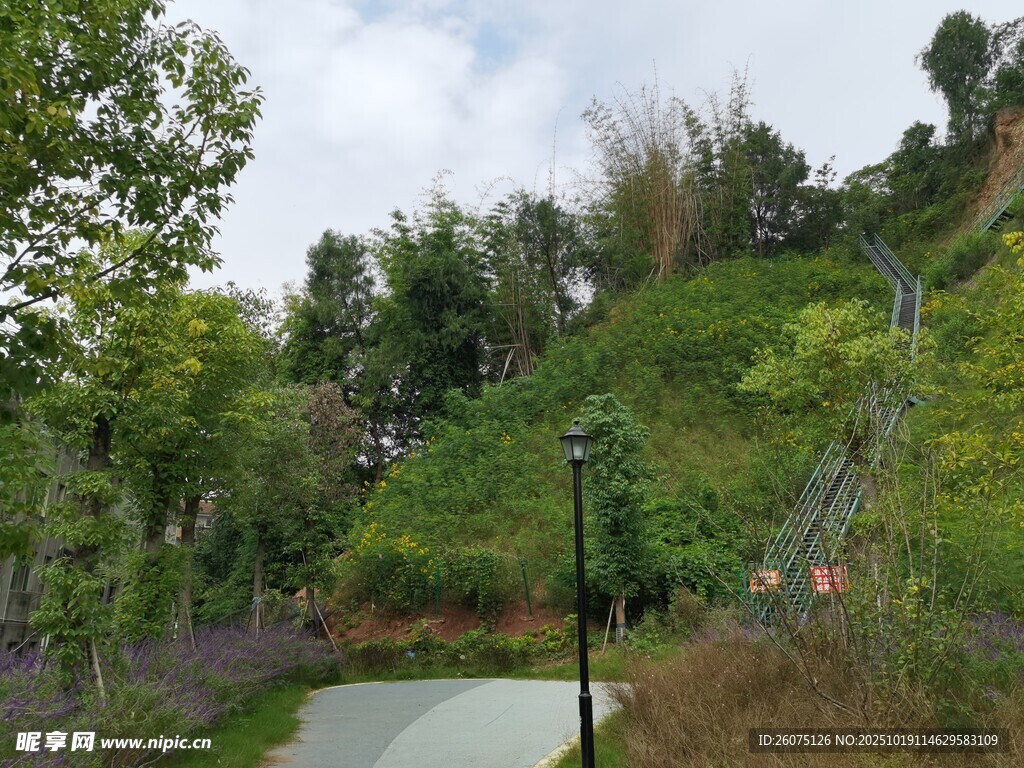 绿意盎然的山间步道景观
