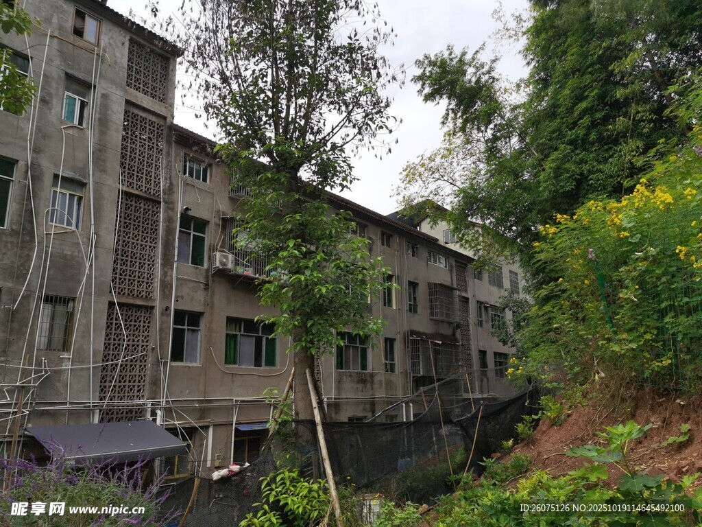 河边老旧建筑与绿植景观