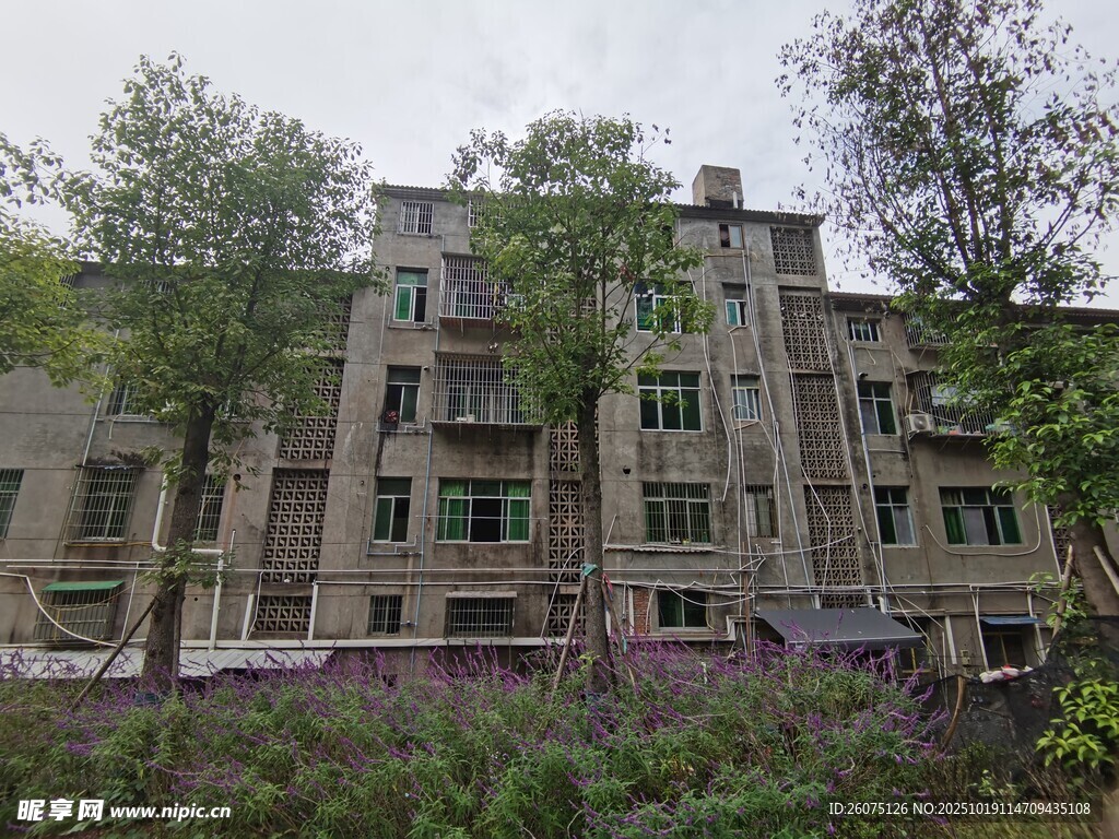 复古风格多层建筑与绿植