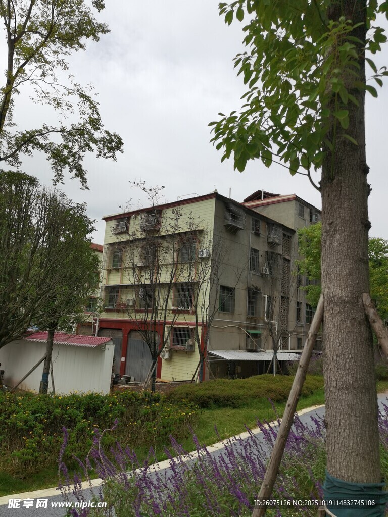 老旧居民楼周边景致