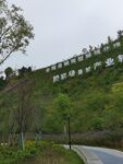 山坡绿植覆盖的蜿蜒道路