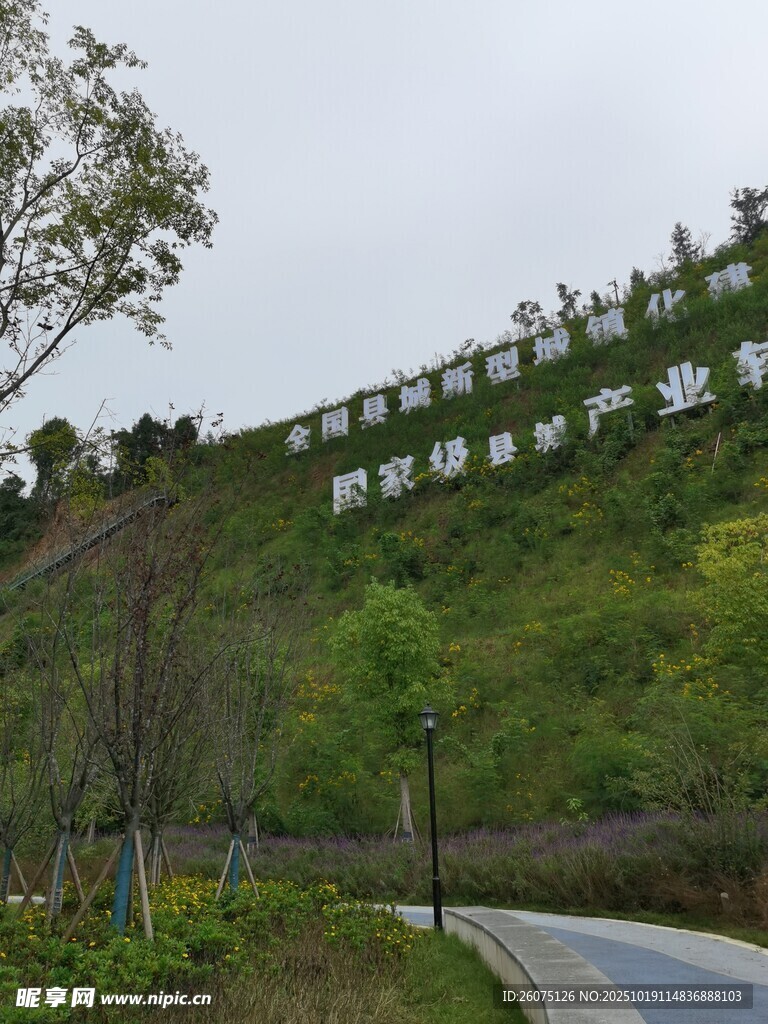 山坡绿植覆盖的蜿蜒道路