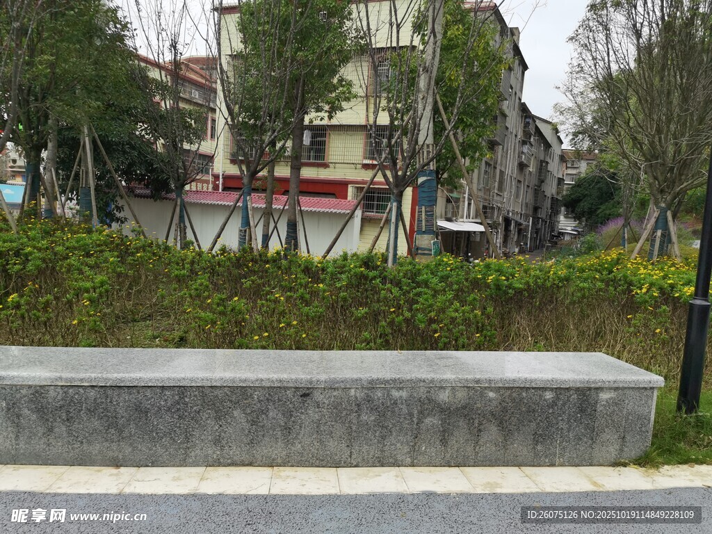 城市街边的绿植与建筑景观