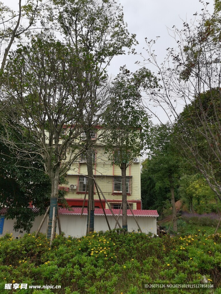 园林中的建筑与绿植景观