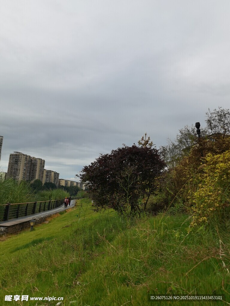郊外草地与远处建筑景观