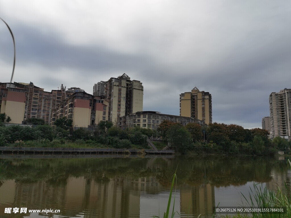 湖畔高楼林立的城市景观