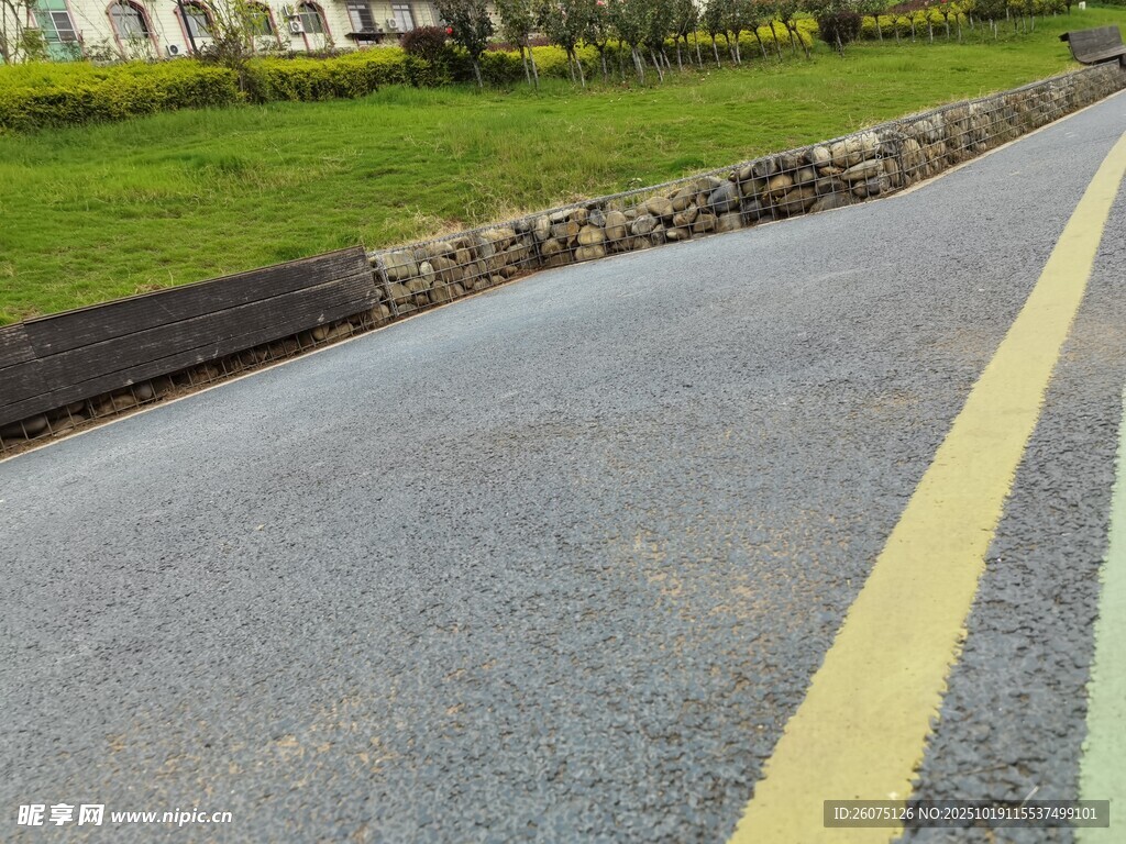 道路边的黄线与绿植景观