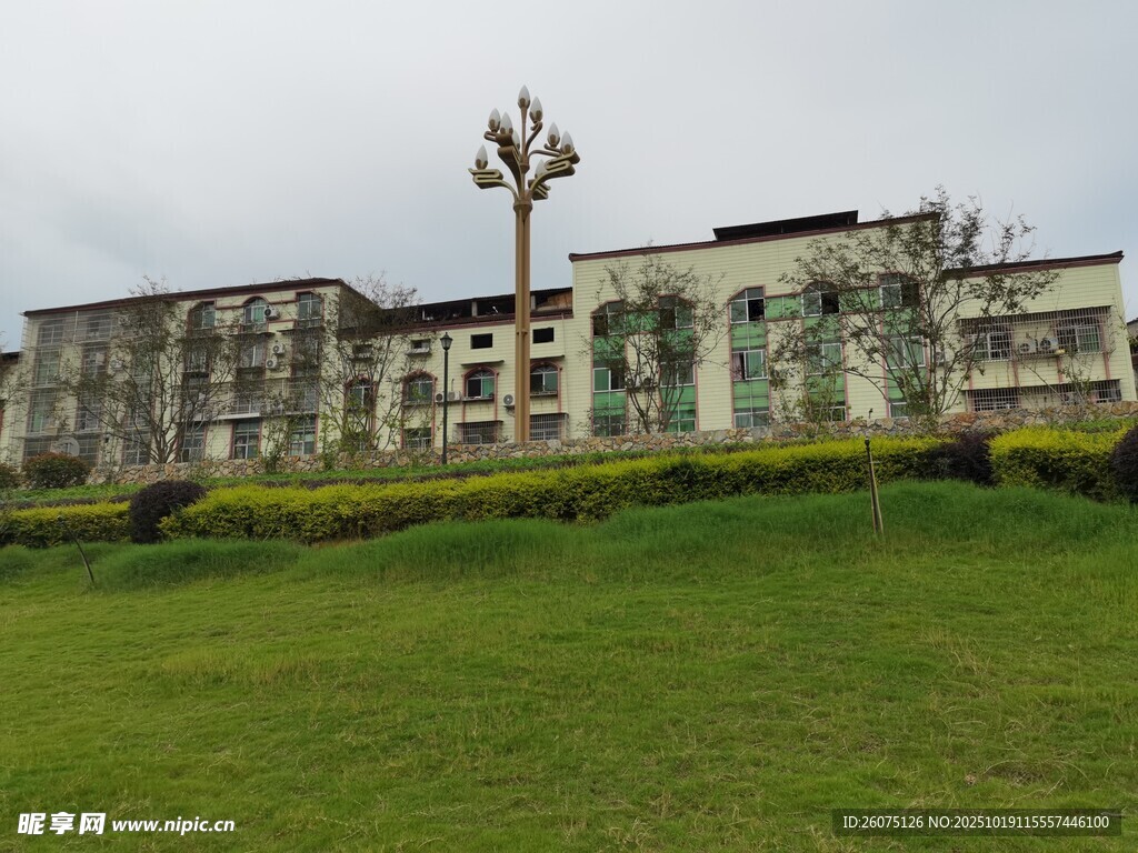 校园建筑前的大片绿草地