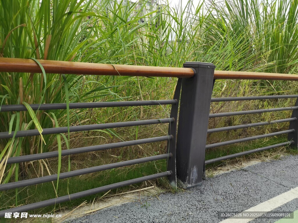 路边金属护栏与绿植景观