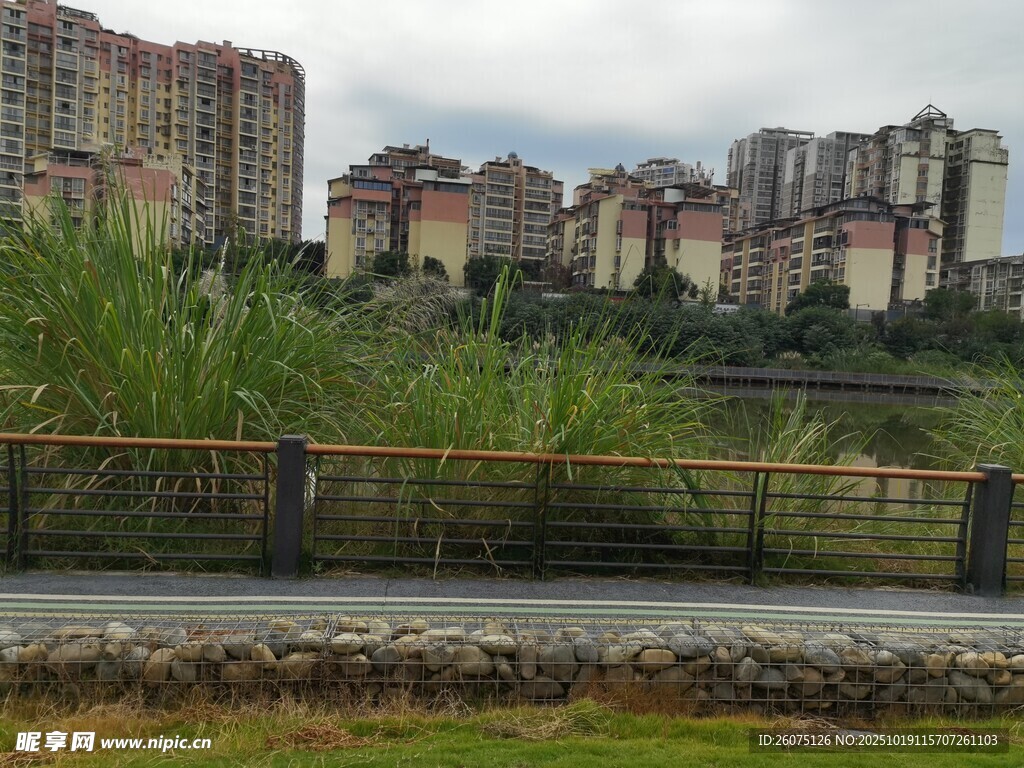 城郊住宅区旁的自然景致