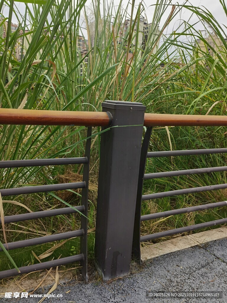户外金属栏杆与绿植景观