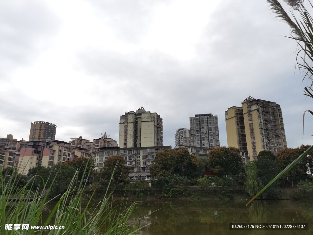 河畔高楼林立的城市景致