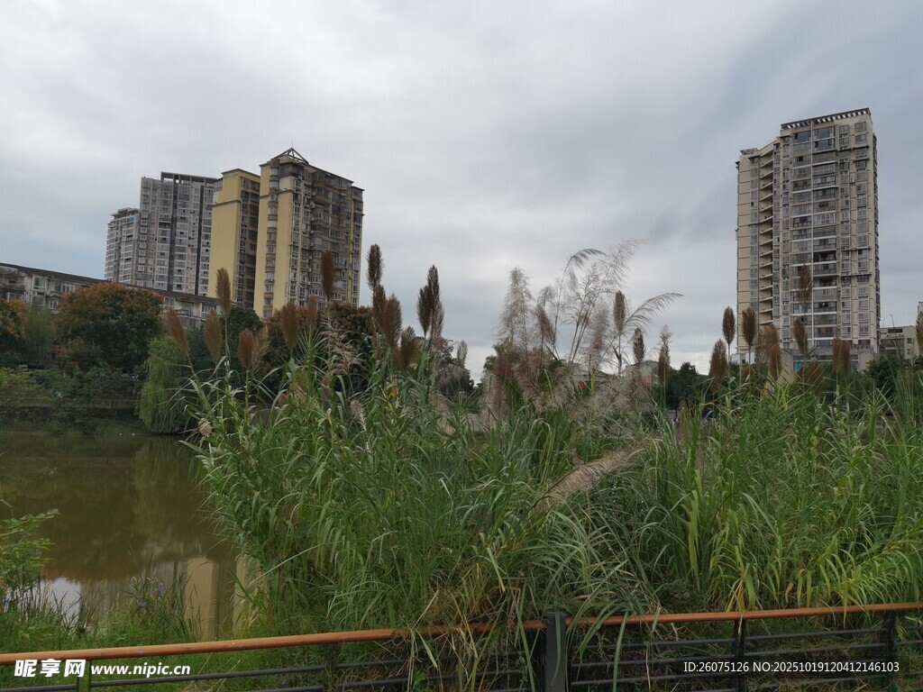 城市河畔景观与高楼