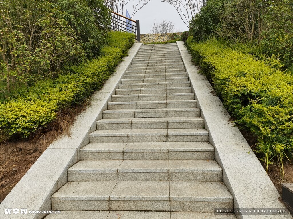 林间石阶步道