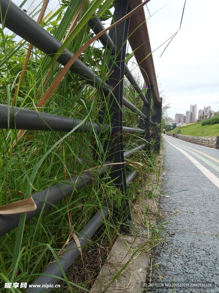 路边竹制围栏与繁茂草木