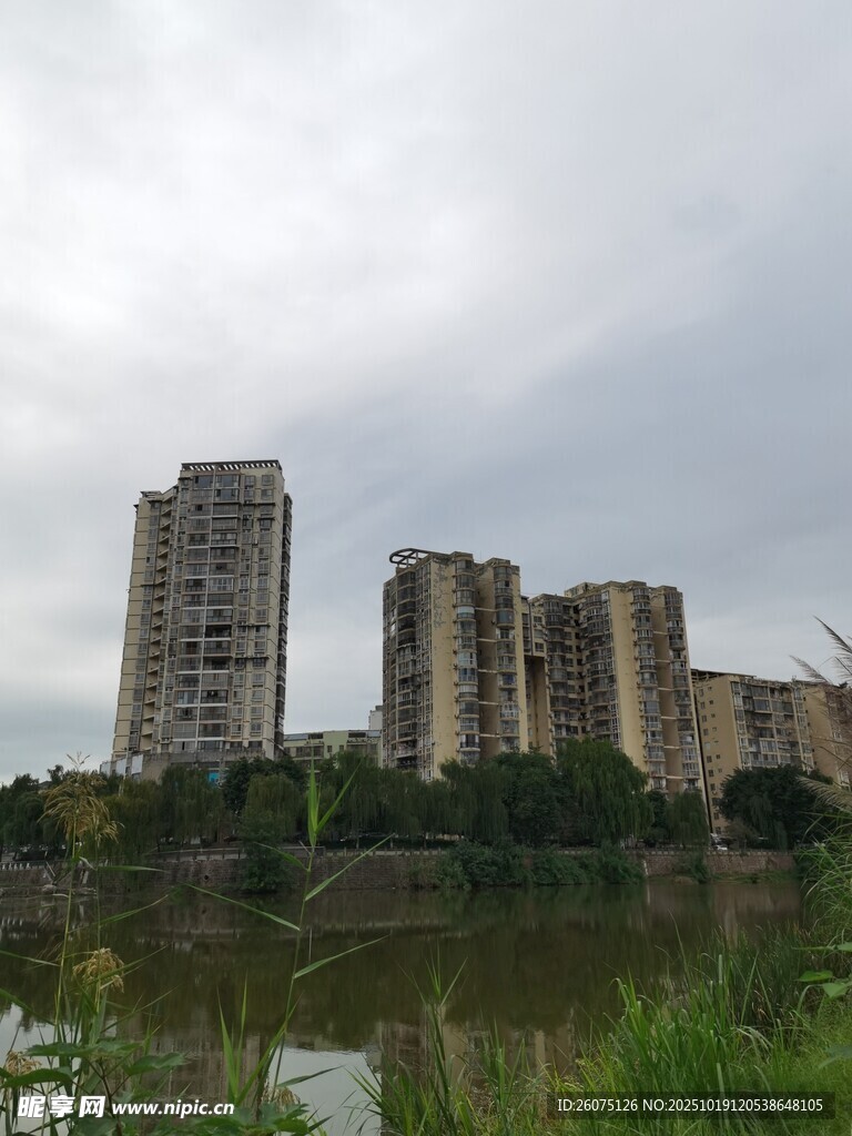 湖畔高楼与绿植景观