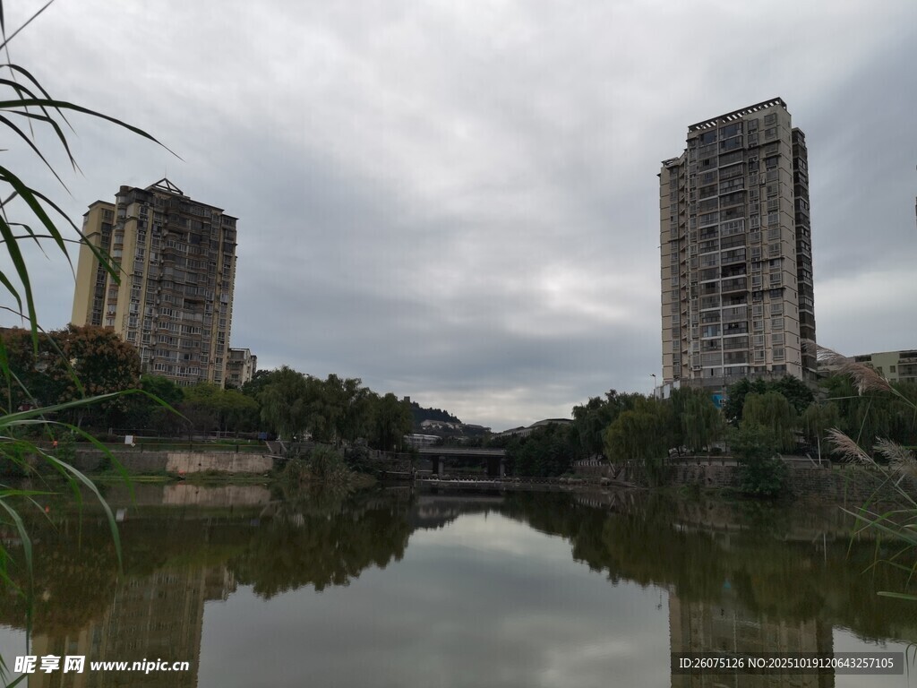 湖畔高楼与绿植景观